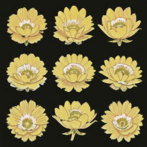 ^bgNX tarot 肢 _I ^yXg[  Ւd Bewi ` ObY ANZT[    R A 뉀 t[