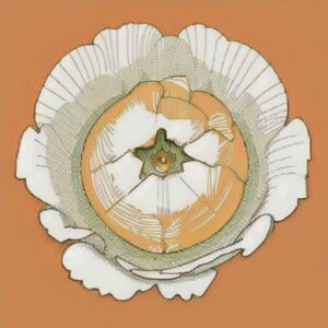 ^bgNX tarot 肢 _I ^yXg[  Ւd Bewi ` ObY ANZT[ IW  x[W  A  fUC R