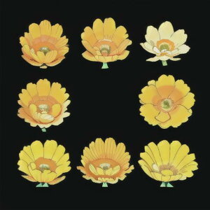 �^���b�g�N���X tarot �肢 �_��I �^�y�X�g���[ ������� �Ւd �B�e�w�i �����` �O�b�Y �A�N�Z�T���[ �I�����W ���F �� �A�� �A�[�g ���R �f�R���[�V����