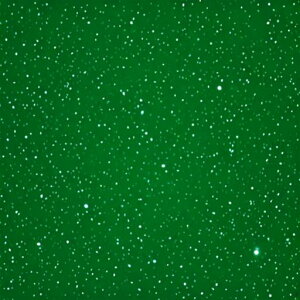 ^bgNX tarot 肢 _I ^yXg[  Ւd Bewi ` ObY ANZT[   F   Vw