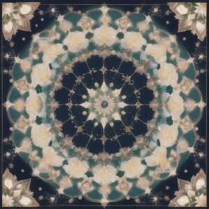 ^bgNX tarot 肢 _I ^yXg[  Ւd Bewi ` ObY ANZT[    ̎