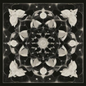 ^bgNX tarot 肢 _I ^yXg[  Ւd Bewi ` ObY ANZT[   ̎