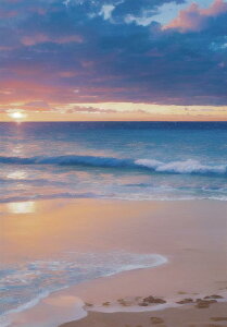 C [Ă l g  ^yXg[ 傫  c^ czM ][g bNX 厩R CeA Bewi Ǌ| 唻 ` Ǖz  sN IW