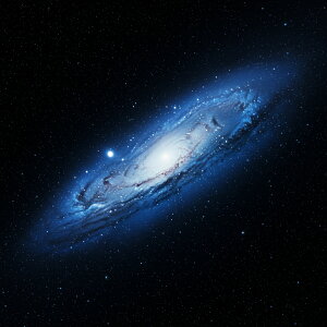 ^bgNX 肢 _I ʂB  Bewi ^yXg[ @w  Ւd ` ObY ANZT[ tarot    F  _ Ah_ Xs`A