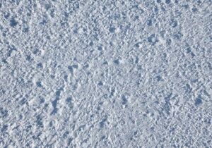  ~  ₽  ^yXg[ NX}X iF CeA 傫 Bewi Ǌ| 唻 ` Ǖz O[ 