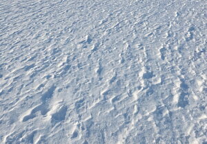  ጴ ~ R  ^yXg[ NX}X iF CeA 傫 Bewi Ǌ| 唻 ` Ǖz   O[