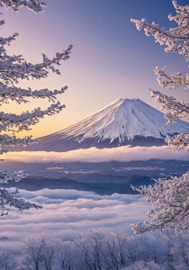 xmR  ~ _C  ^yXg[ xmR iF {敗 g U NX}X CeA 傫 Bewi Ǌ| 唻 ` Ǖz   x[W