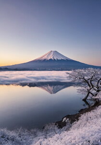 xmR   ~ i ^yXg[ xmR iF {敗 g U NX}X CeA 傫 Bewi Ǌ| 唻 ` Ǖz   O[