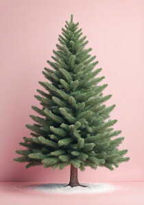 NX}Xc[ ~ NX}X  jt ^yXg[ CeA 傫 Bewi Ǌ| 唻 ` Ǖz sN  