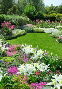    Ő A ^yXg[ EFfBOoi[ j X^WI G ObY Ǌ| CeA 傫 Bewi 唻 ` q[O  sN