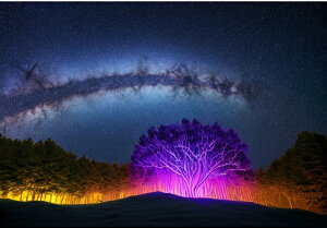  V̐   X ^yXg[ ґz zI q[O bNX ~XeAX X^WI ObY Ǌ| CeA 傫 Bewi 唻 `   