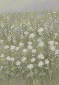  쌴 i R W ^yXg[  EFfBOoi[ j X^WI k ObY Ǌ| CeA t 傫 Bewi 唻 `  O[ x[W