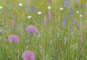 쌴   R i ^yXg[  EFfBOoi[ j X^WI k ObY Ǌ| CeA t 傫 Bewi 唻 `  sN 