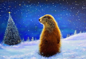 OEhzbO NX}Xc[  ~  NX}X ^yXg[ }[bg ObY 唻 z Ǐ  Ǌ| CeA R  傫 Bewi `   x[W