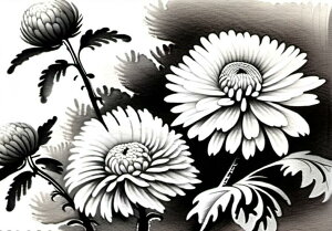 e  A a G ^yXg[ a a_ n敗 唻 z Ǐ  Ǌ| CeA 傫 Bewi `   O[