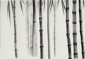 | nG a Î R ^yXg[ a a a_ n敗 唻 z Ǐ  Ǌ| CeA 傫 Bewi `   O[