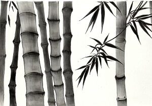 | nG R a Î ^yXg[ a a a_ n敗 唻 z Ǐ  Ǌ| CeA 傫 Bewi `   O[