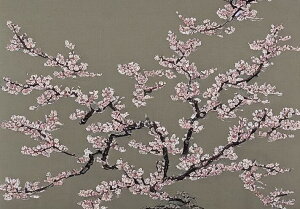 ~  } t { ^yXg[ a a a_ n敗 唻 z Ǐ  Ǌ| CeA 傫 Bewi ` O[ sN 