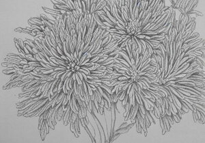 e  A  XPb` ^yXg[ a a a_ n敗 唻 z Ǐ  Ǌ| CeA 傫 Bewi ` O[ 