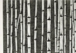 | nG R Î a ^yXg[ a a_ n敗 唻 z Ǐ  Ǌ| CeA 傫 Bewi `   O[