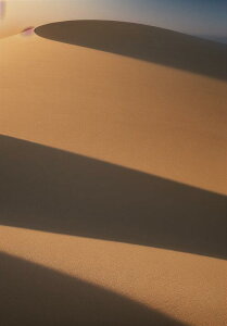  u e i R ^yXg[ bNX 敗 i ґz 唻 z Ǐ  Ǌ| CeA 傫 Bewi ` x[W IW