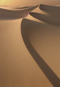  u i R Ae ^yXg[ bNX 敗 i ґz 唻 z Ǐ  Ǌ| CeA 傫 Bewi ` x[W IW