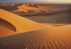 砂漠 砂丘 風景 自然 太陽 タペストリー リラックス 名画風 遠景 瞑想 大判 布製 壁飾り 巨大 壁掛け インテリア 大きい 撮影背景 長方形 オレンジ ベージュ 黄色