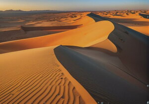  u i R  ^yXg[ bNX 敗 i ґz 唻 z Ǐ  Ǌ| CeA 傫 Bewi ` IW x[W