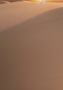  u i R z ^yXg[ bNX 敗 i ґz 唻 z Ǐ  Ǌ| CeA 傫 Bewi ` x[W IW