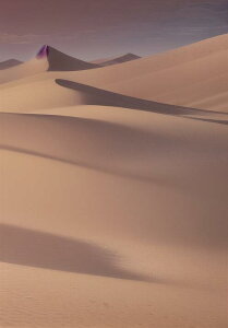  u i R  ^yXg[ bNX 敗 i ґz 唻 z Ǐ  Ǌ| CeA 傫 Bewi ` x[W