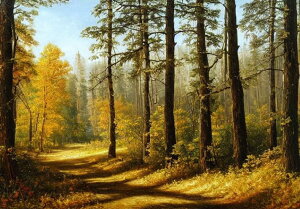 X  H R i ^yXg[ bNX 敗 i ґz 唻 z Ǐ  Ǌ| CeA 傫 Bewi ` F IW x[W