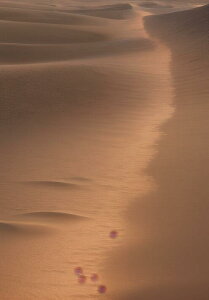 u   i R ^yXg[ bNX 敗 i ґz 唻 z Ǐ  Ǌ| CeA 傫 Bewi ` x[W IW