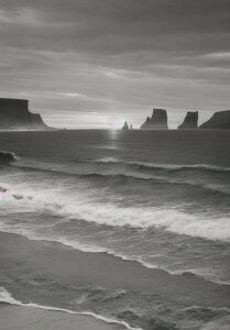 �C �� �g �R �� �^�y�X�g���[ ���i �����b�N�X ���敗 ���i �ґz �唻 �z�� �Ǐ��� ���� �Ǌ|�� �C���e���A �傫�� �B�e�w�i �����` �O���[ �� ��