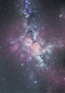 F _  V̐  ^yXg[ i bNX 敗 i ґz 唻 z Ǐ  Ǌ| CeA 傫 Bewi ` sN  