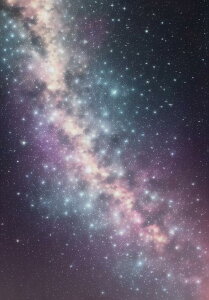  _ F V̐  ^yXg[ i bNX 敗 i ґz 唻 z Ǐ  Ǌ| CeA 傫 Bewi `  sN 