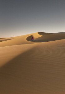  u i R  ^yXg[ bNX 敗 i ґz 唻 z Ǐ  Ǌ| CeA 傫 Bewi ` x[W IW