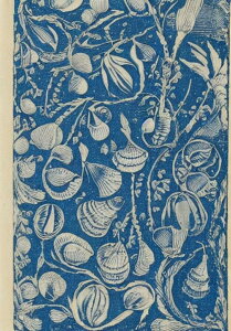 Lk C A  p^[ ^yXg[ 厩R ŉ敗 i G敗 唻 z Ǐ  Ǌ| CeA 傫 Bewi ` bNX ґz  