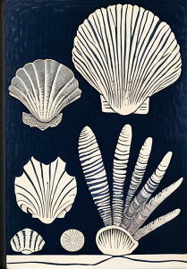 Lk C  } r[` ^yXg[ 厩R ŉ敗 i G敗 唻 z Ǐ  Ǌ| CeA 傫 Bewi ` bNX ґz  