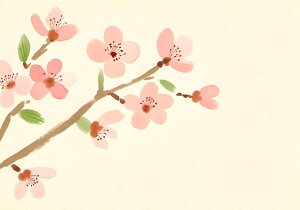   t A  ^yXg[ a ʕ G  R 唻 z  Ǐ  Ǌ| CeA 傫 Bewi `  sN x[W