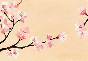   t a  ^yXg[ a ʕ G A  R 唻 z  Ǐ  Ǌ| CeA 傫 Bewi `  sN x[W 