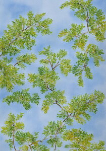  t  R i ^yXg[ a ʕ  G t A  唻 z  Ǐ  Ǌ| CeA 傫 Bewi `    F