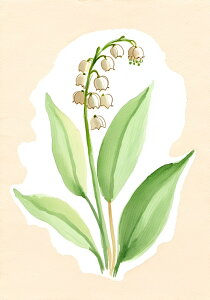 XY  A ʉ t ^yXg[ a ʕ G  R 唻 z  Ǐ  Ǌ| CeA 傫 Bewi `    x[W