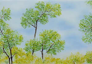 �� �X�� ���i ���R ���ʉ� �^�y�X�g���[ �a�� ���ʕ� �� �G�� �t �A�� ���� �唻 �z�� ���� �Ǐ��� ���� �Ǌ|�� �C���e���A �傫�� �B�e�w�i �����` ���� �� ���F �x�[�W��