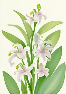   A ʉ {^jJA[g ^yXg[ a ʕ G t  R 唻 z  Ǐ  Ǌ| CeA 傫 Bewi `   sN F