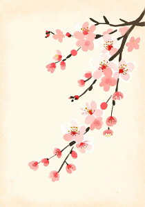   t a  ^yXg[ a ʕ G A  R 唻 z  Ǐ  Ǌ| CeA 傫 Bewi `  sN x[W 