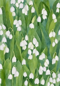 XY  A t  ^yXg[ a ʕ G  R 唻 z  Ǐ  Ǌ| CeA 傫 Bewi `   