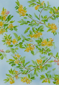  A ʉ t R ^yXg[ a ʕ G  唻 z  Ǐ  Ǌ| CeA 傫 Bewi `   F 