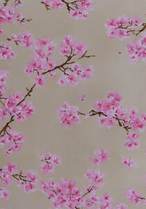   t a  ^yXg[ a ʕ G A  R 唻 z  Ǐ  Ǌ| CeA 傫 Bewi `  sN x[W