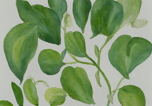 A t   R ^yXg[ a ʕ  G t  唻 z  Ǐ  Ǌ| CeA 傫 Bewi `  