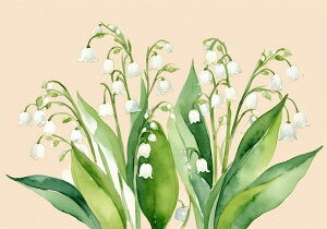 XY  A t  ^yXg[ a ʕ G  R 唻 z  Ǐ  Ǌ| CeA 傫 Bewi `    x[W